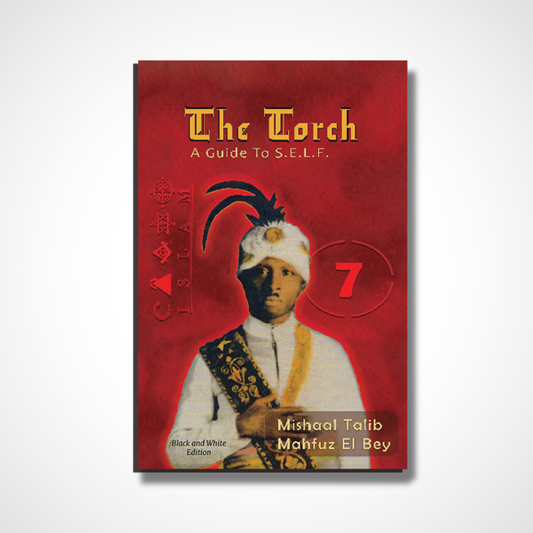 Wholesale ** BY THE BOX ** The Torch Guide to S.E.L.F.
