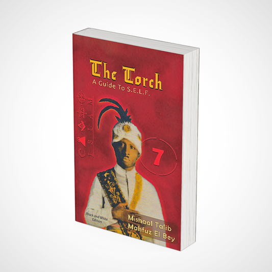 Wholesale ** BY THE BOX/CASE ** The Torch Guide to S.E.L.F.