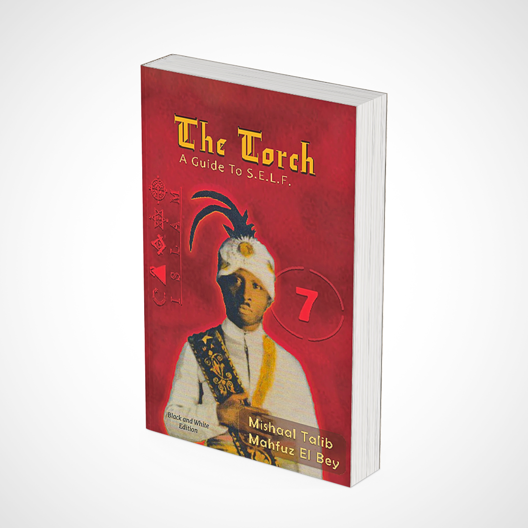Bulk Book **MUST BUY 5+ MIX OR MATCH** The Torch Guide to S.E.L.F.