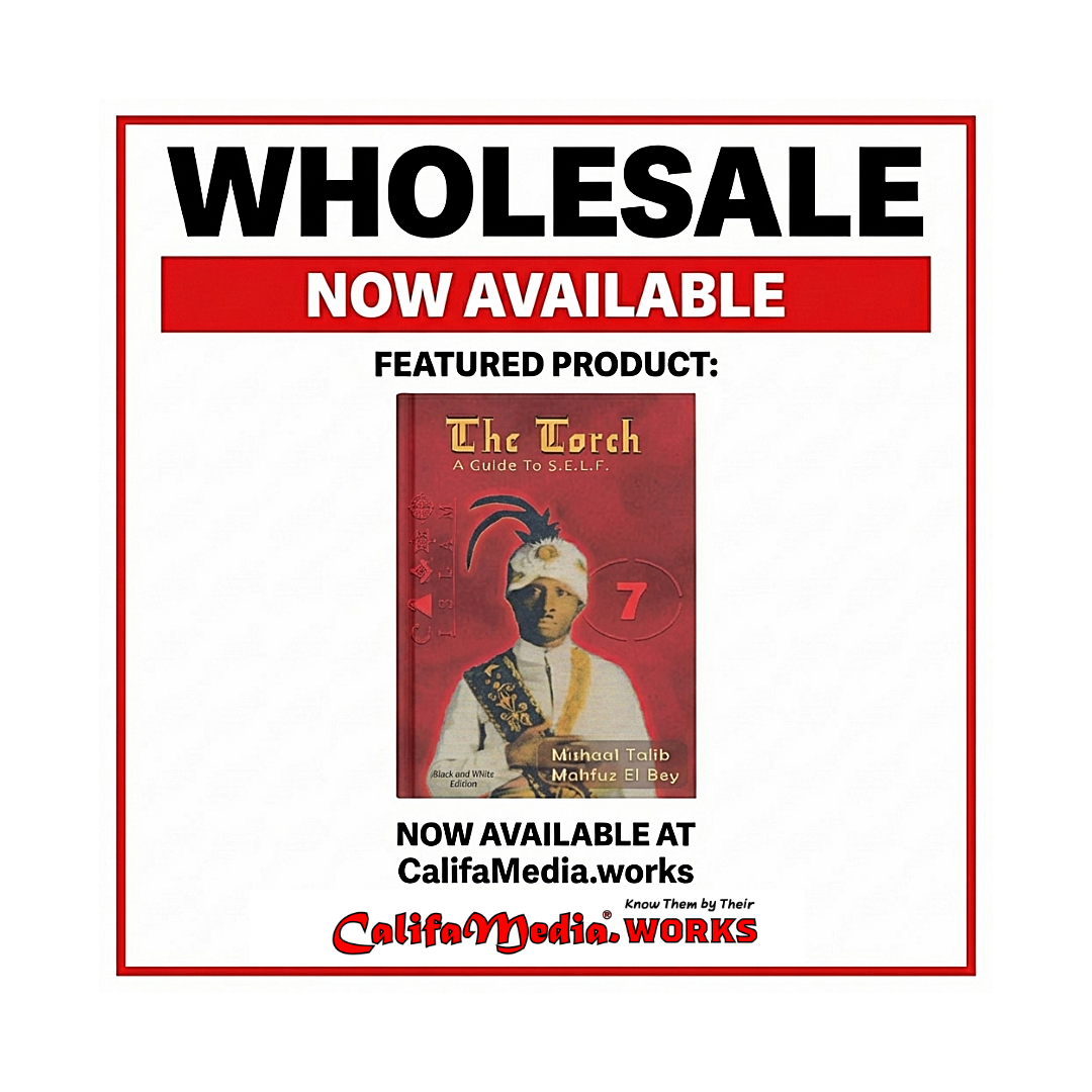 Wholesale ** BY THE BOX ** The Torch Guide to S.E.L.F.
