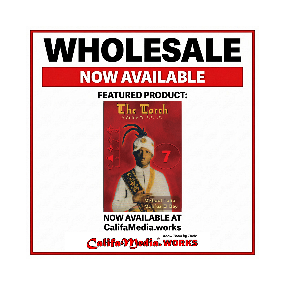 Wholesale ** BY THE BOX ** The Torch Guide to S.E.L.F. (Color)
