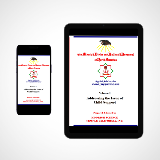 Applied Solutions : Addressing the Issue of Child Support