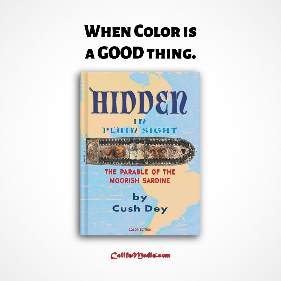 Hidden in Plain Sight by Cush Dey
