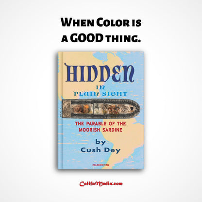 Hidden in Plain Sight by Cush Dey