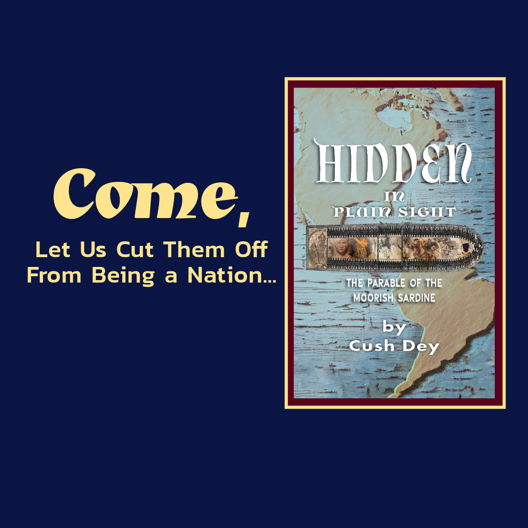 Hidden in Plain Sight by Cush Dey