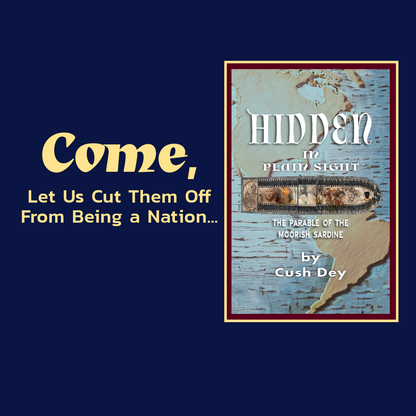 Hidden in Plain Sight by Cush Dey