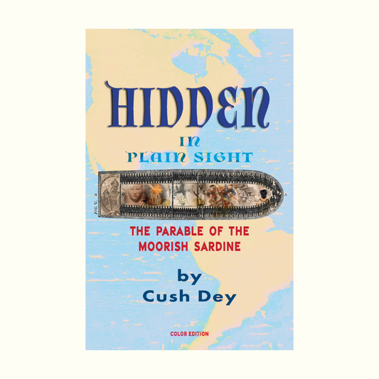 Hidden in Plain Sight by Cush Dey