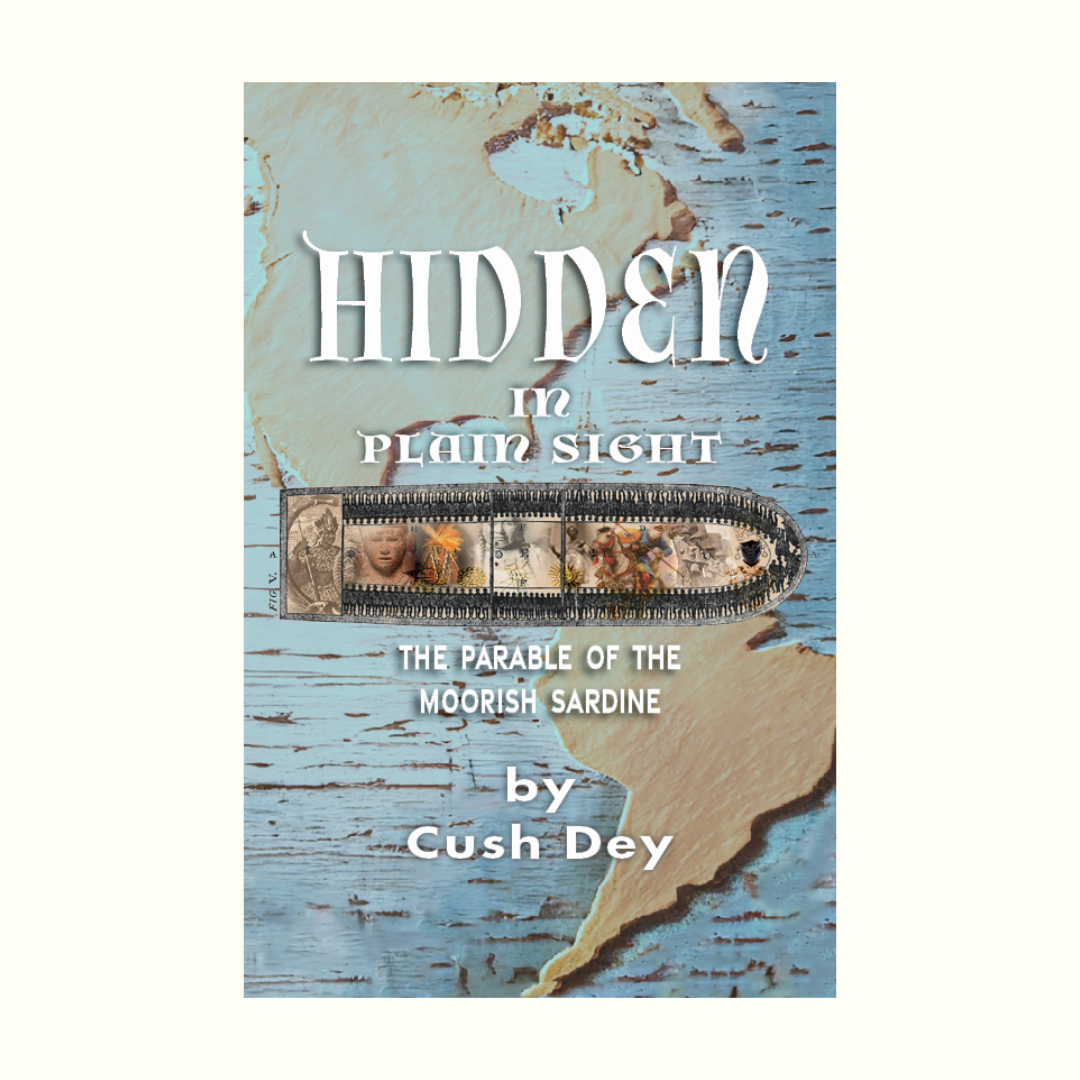 Hidden in Plain Sight by Cush Dey