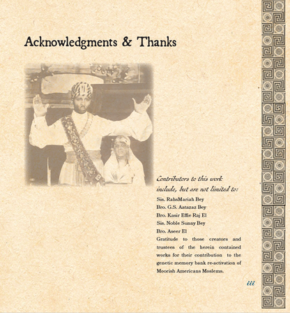 (C)over Your Head: A Pictographic Chronicle of the Moslem Turban - Paperback