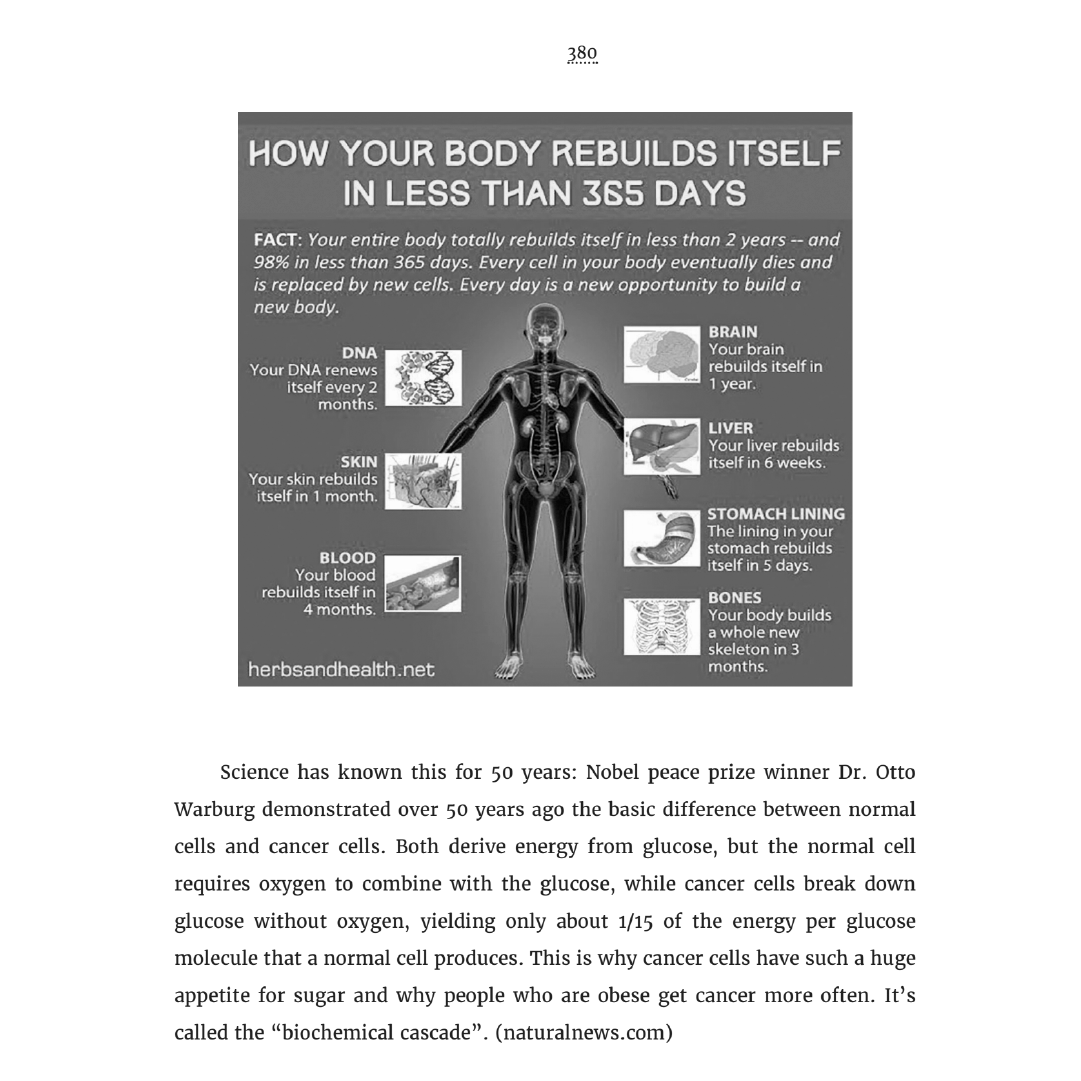 Wholesale ** BY THE BOX/CASE ** The Torch Guide to S.E.L.F.