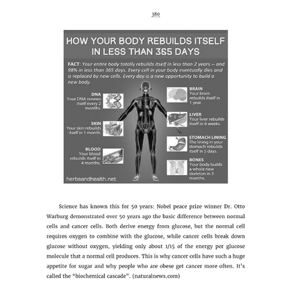 Bulk Book **MUST BUY 5+ MIX OR MATCH** The Torch Guide to S.E.L.F.