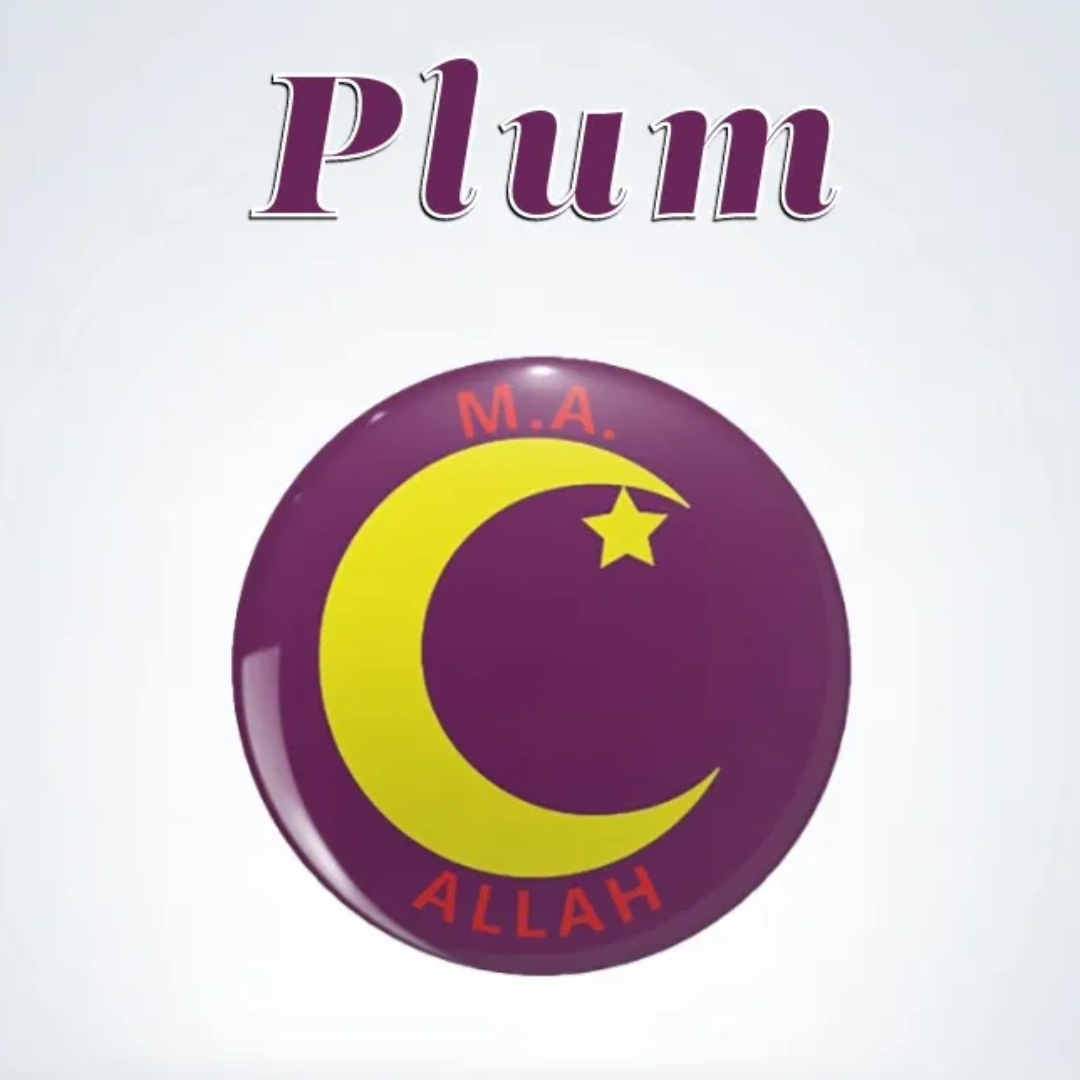 Moorish American Button / Pin